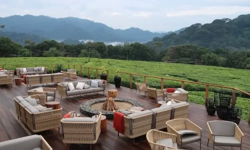 One-and-Only-Nyungwe-1