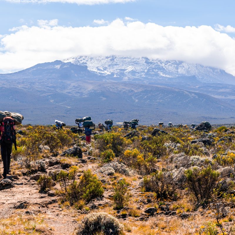 Hikers climbing Mount Kilimanjaro in Tanzania