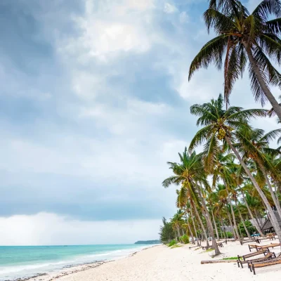 Tropical coast, sunbeds and palm trees in Tanzania. Beach holiday concept